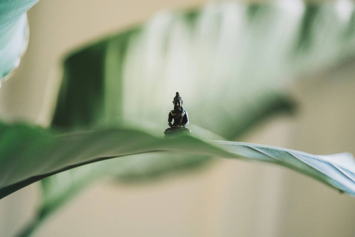 types of spending habits: Rewiring Your Brain for Conscious Cash Flow